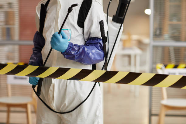 Professional Sewage Cleanup technician working in Hebron, MD